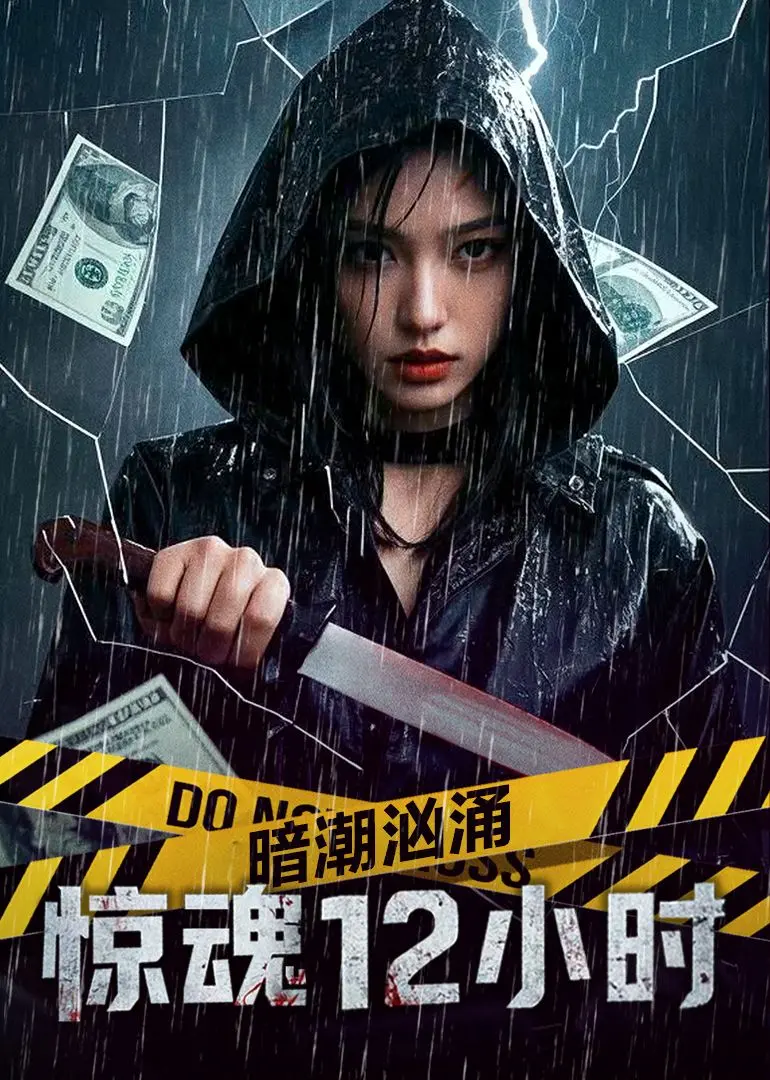 《暗潮汹涌之惊魂12小时》：午夜迷局，谁是幕后黑手？悬疑影评揭秘！